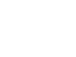 Logo-Blanc-300